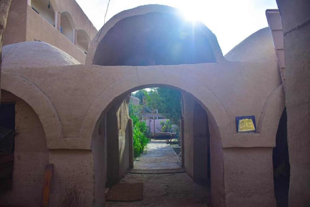 Фото Pharaonic Rose