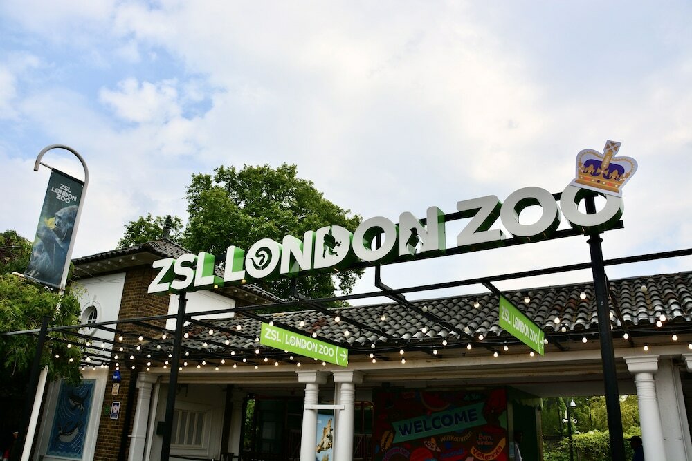 Фото Sanctum London Belsize Road