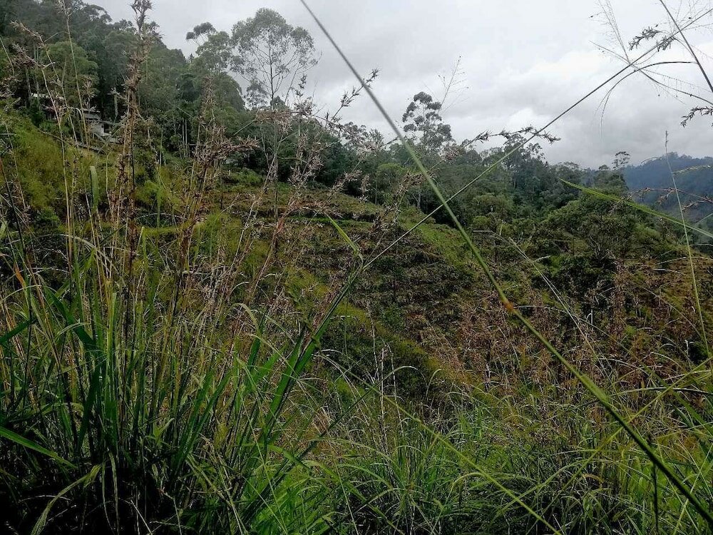 Фото Ella Hotel Upper Hill