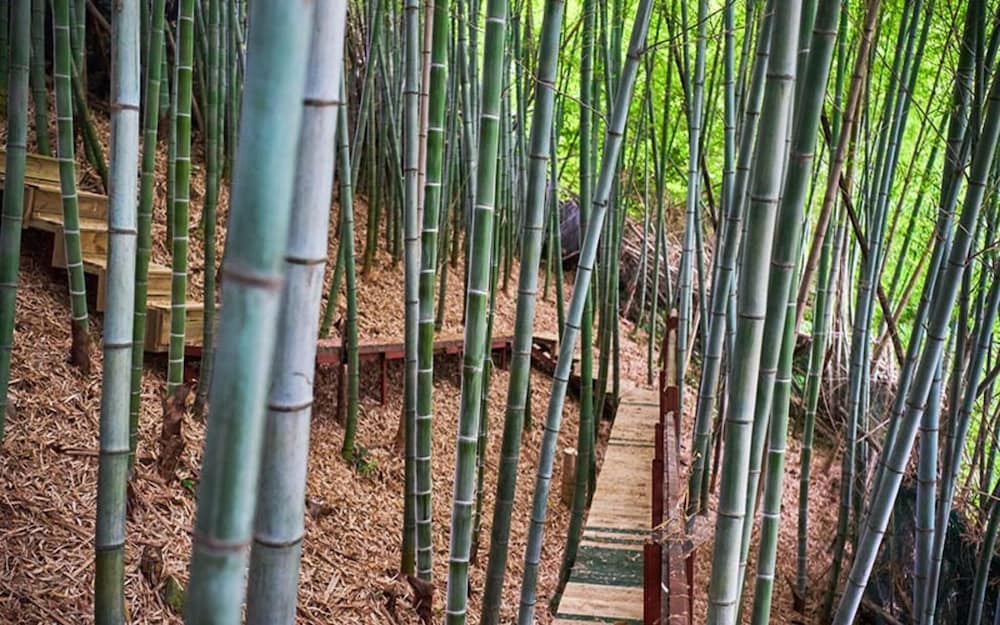 Фото Yeosu Dolsan Healing Pension