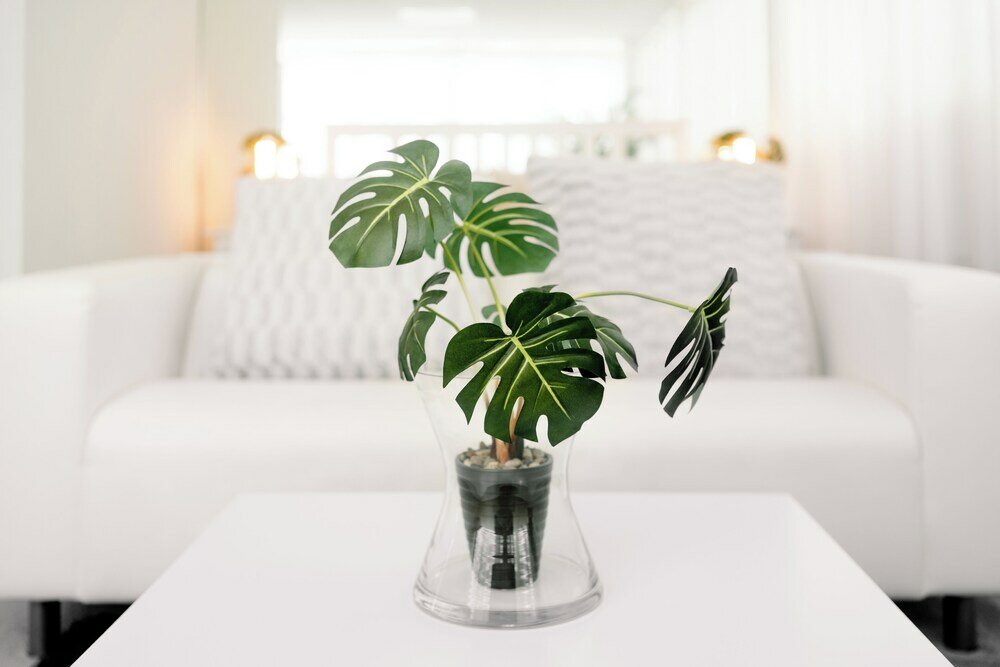 Фото LaCliniQVerte - Bio Détox Nature