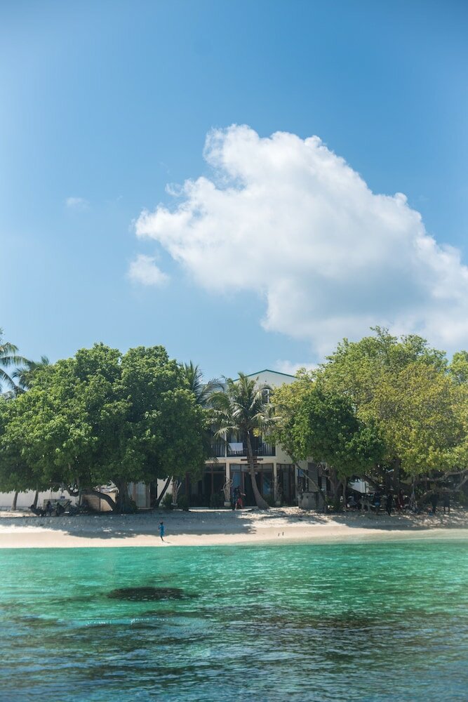 Фото Thundi village and SPA