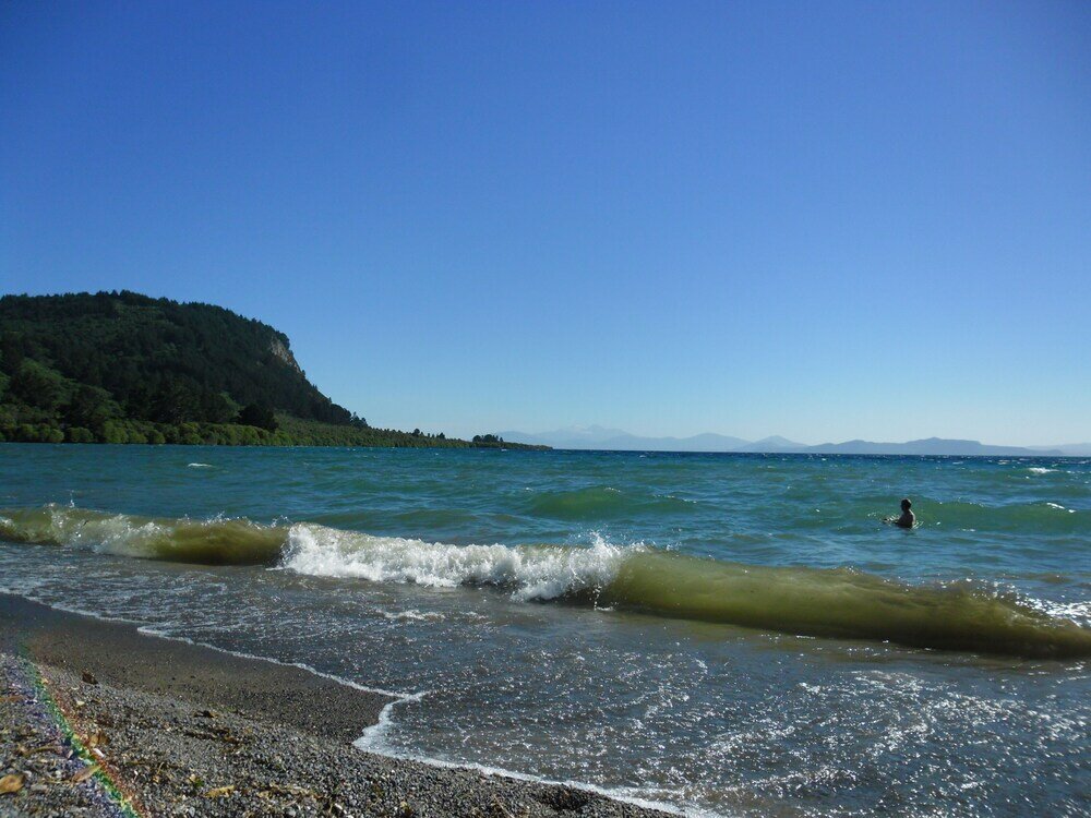 Фото Orchard View FarmStay Retreat