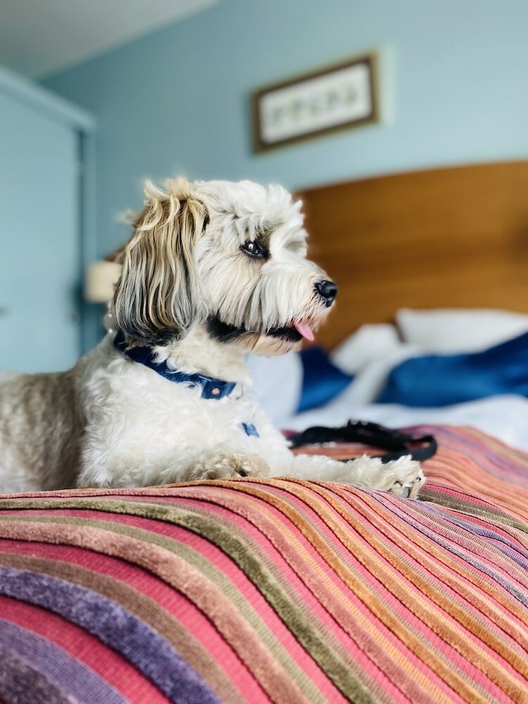 Фото Tivoli Hotel