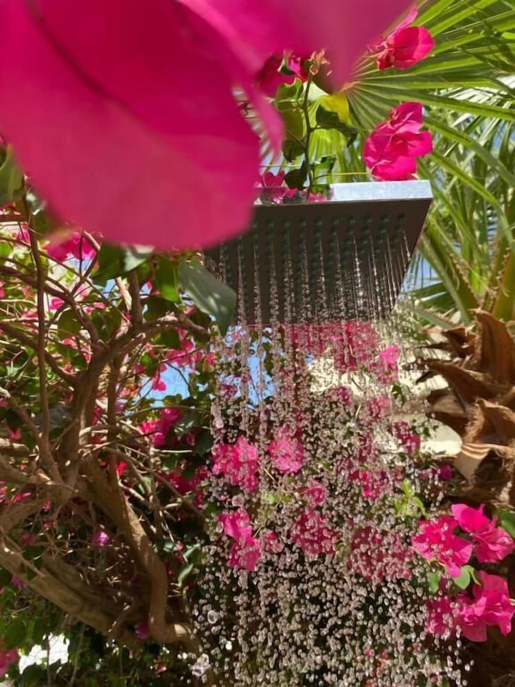 Фото Hostal Lorca