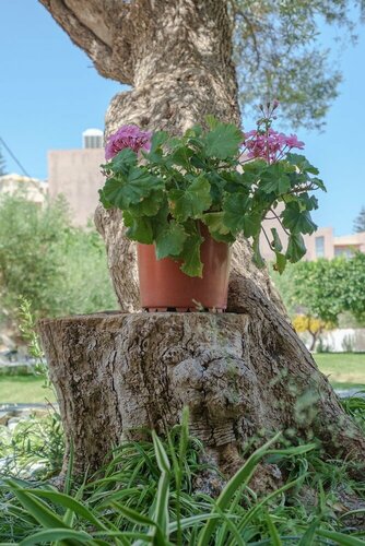 Гостиница Newly renovated Garden Flat