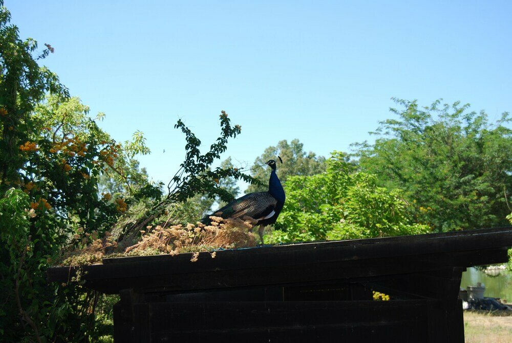 Фото Vivienda Rural el Retorno