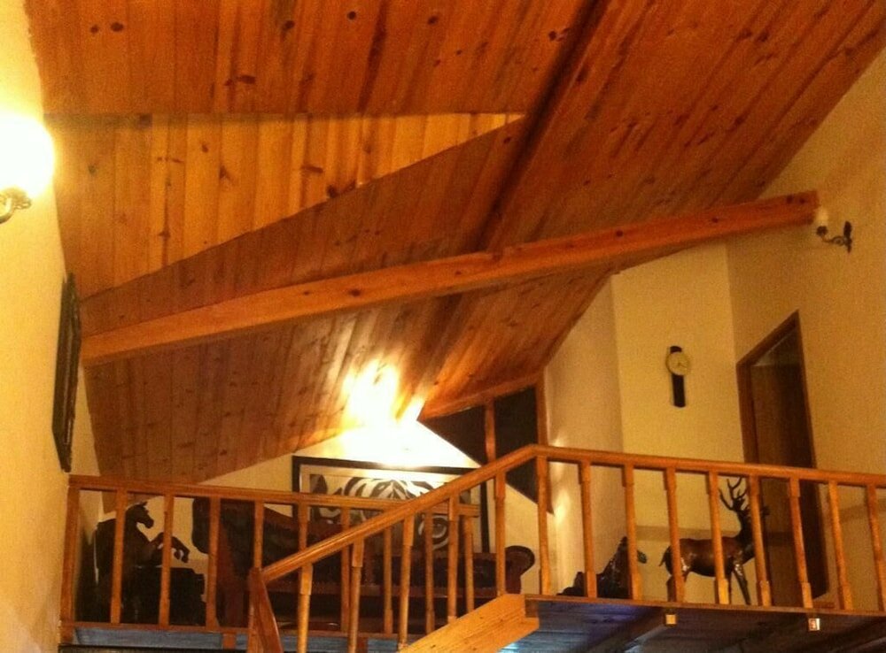 Фото Blissful Villas Ranikhet