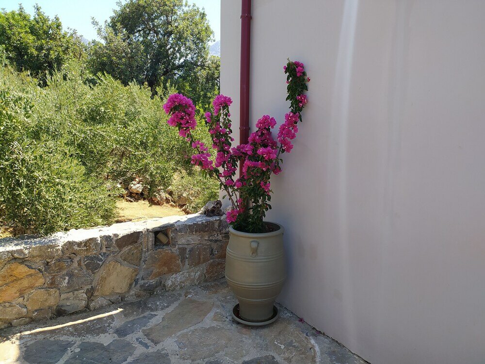 Фото Villa Kastania