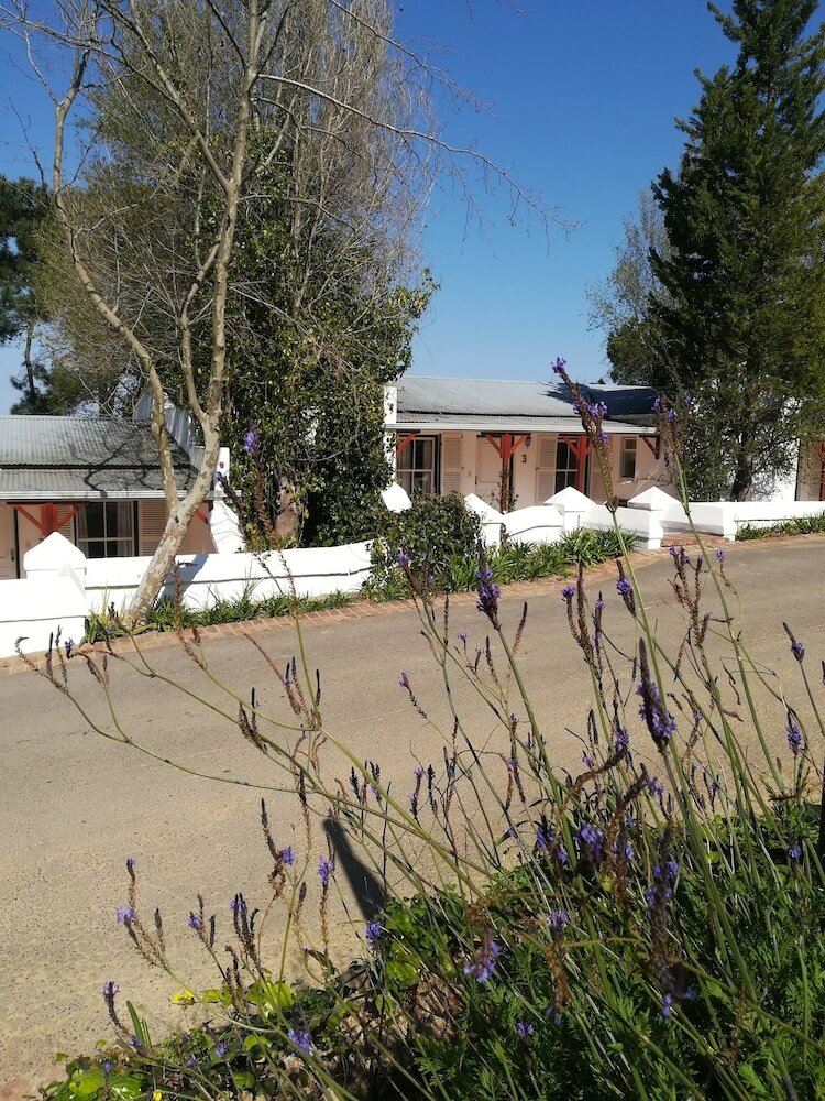 Фото Zevenwacht Wine Estate