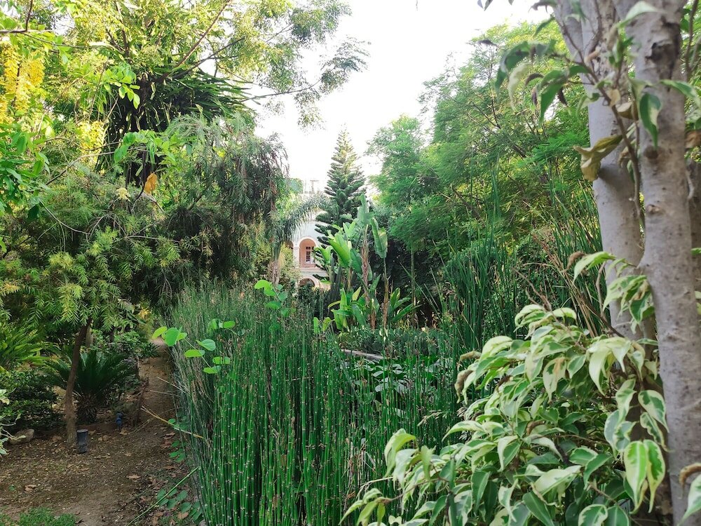 Фото Babil Bahçeleri Butik Hotel & Cafe