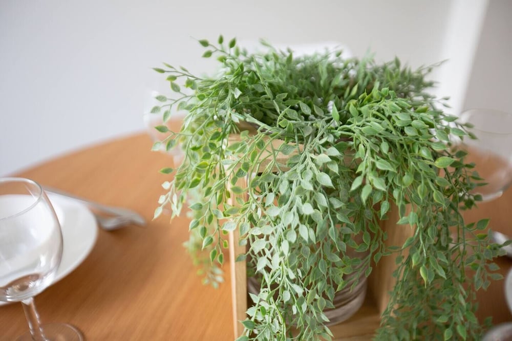 Фото Elegant Stylish Living@mooneeponds Wifi/parking