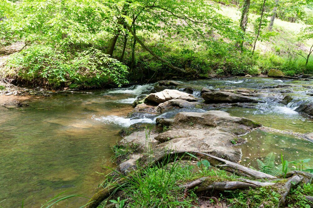 Фото Leisure Bear Lodge