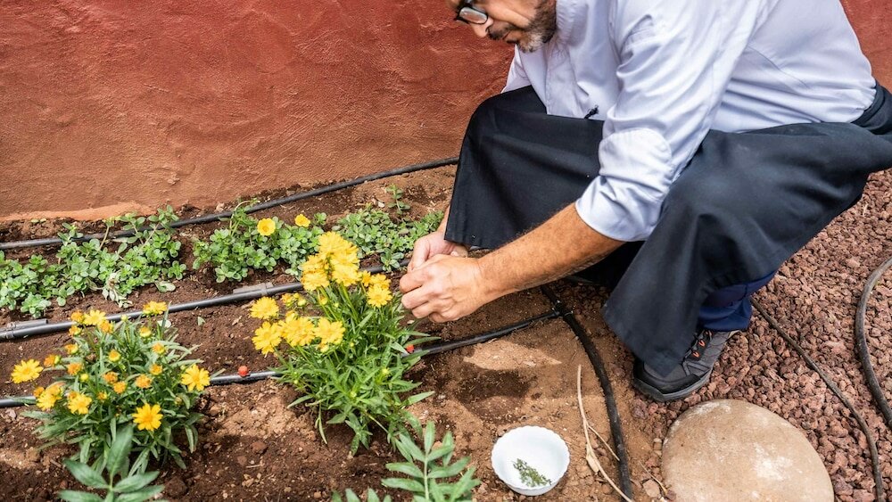 Фото Hotel Ecolife Tenerife
