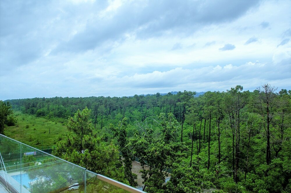 Фото Отель Resolute Shekvetili
