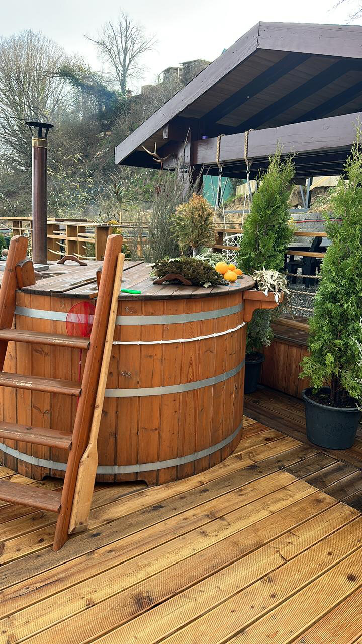 Фото Светогорье