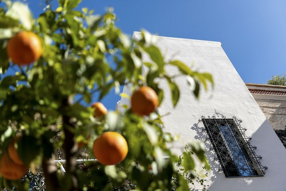 Фото Pájaro Rebelde