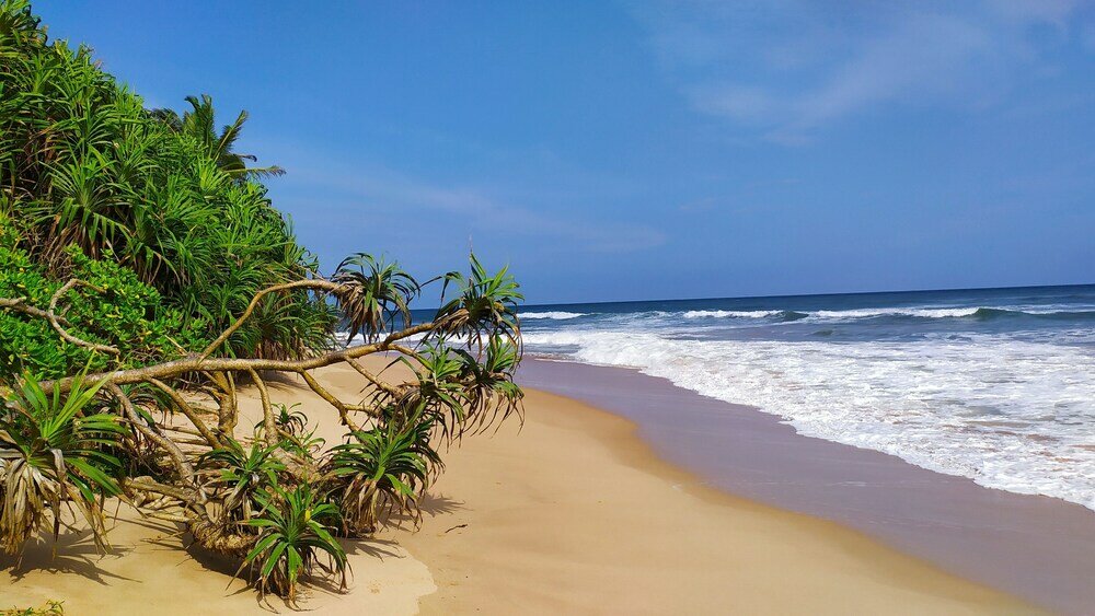 Фото Villa Modara