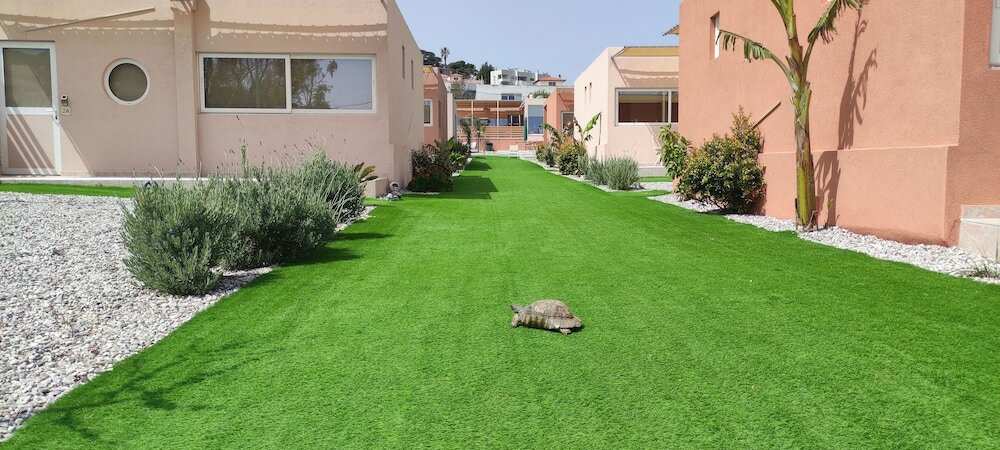 Фото Modular Bungalows With Heated Pool Artemis Greece