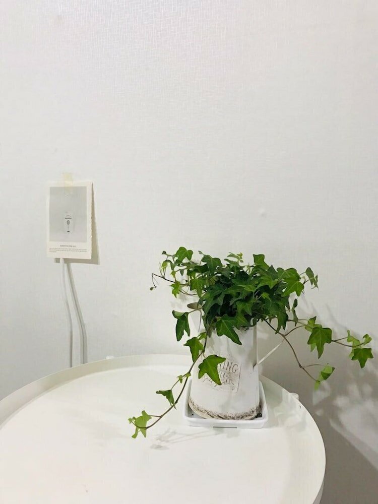 Фото 1 Kay House - Place 4 - Hostel