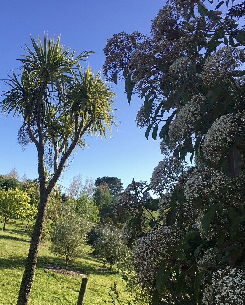 Фото Orchard View FarmStay Retreat