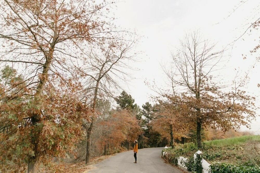 Фото Zevenwacht Wine Estate