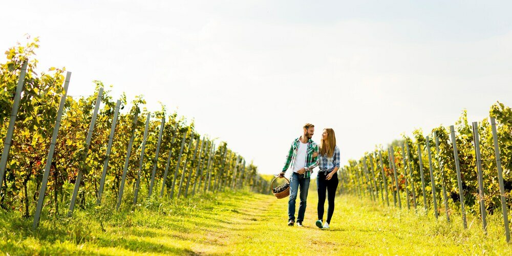 Фото Minaro Hotel Tokaj - Mgallery