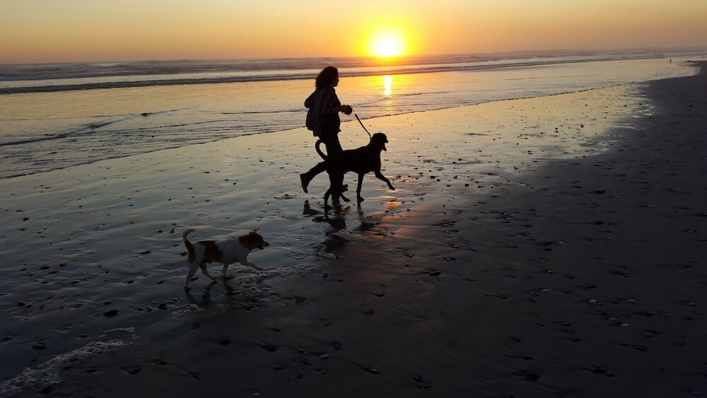Фото Melkbos Seagulls Lapa