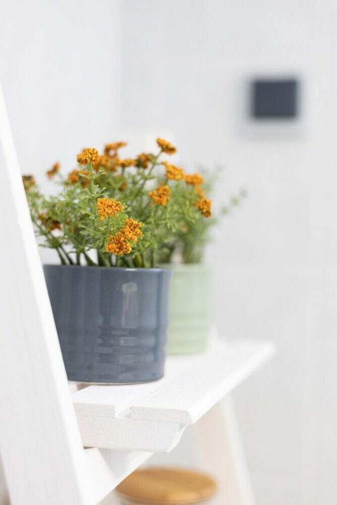 Фото Akti Apollona