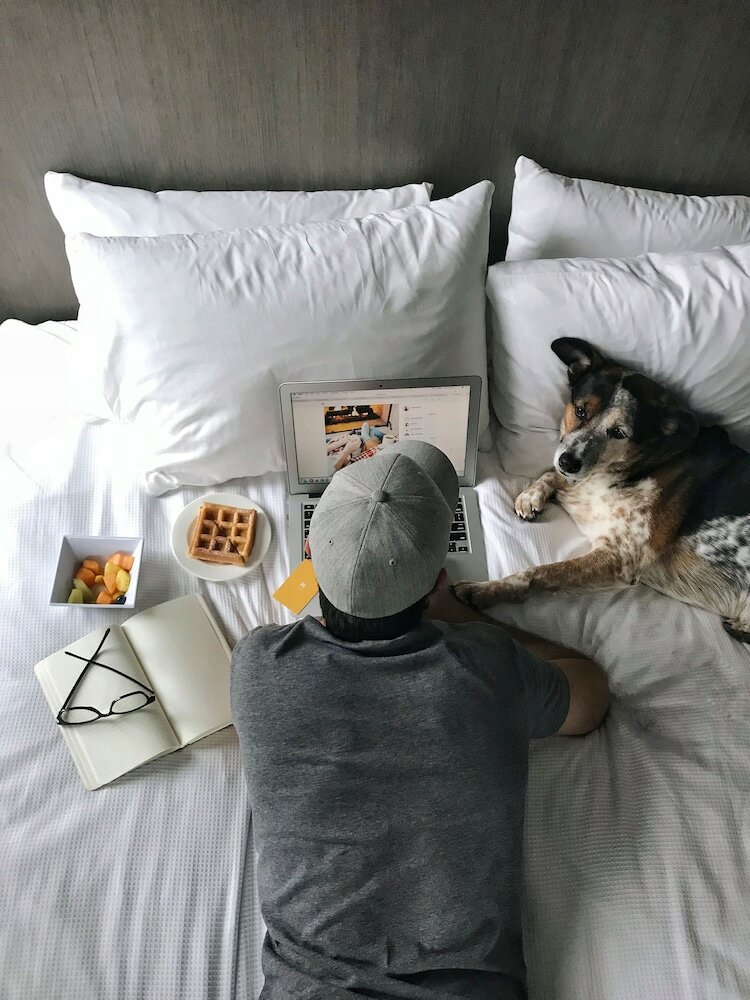 Фото Hyatt House Rochester/Mayo Clinic Area