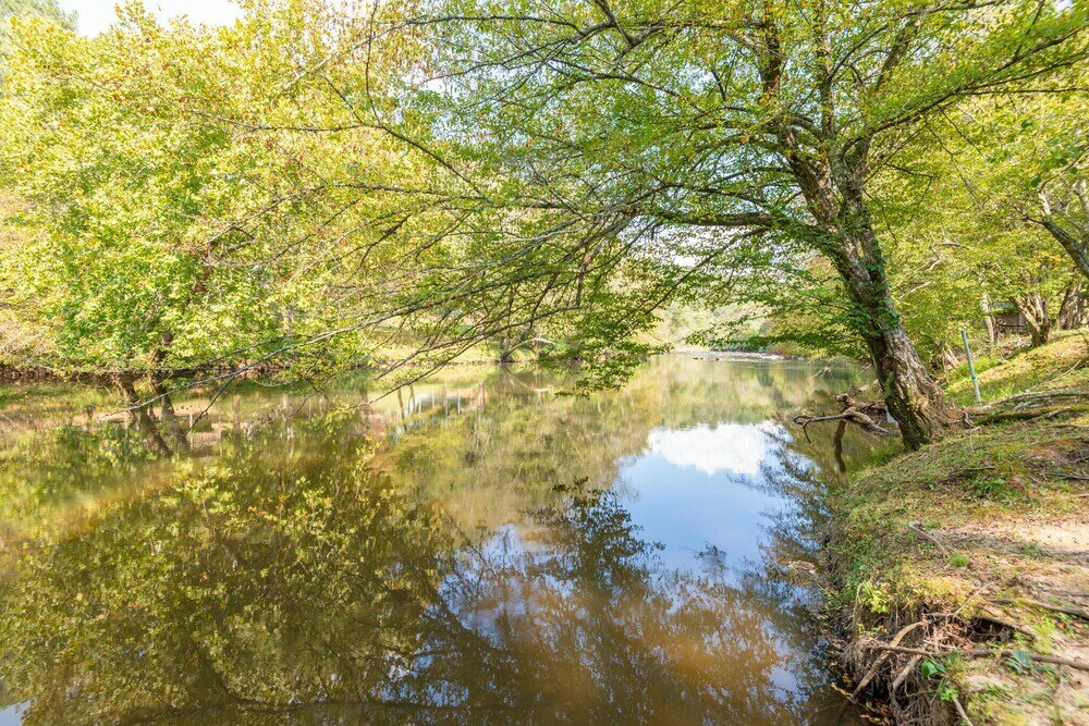 Фото Leisure Bear Lodge