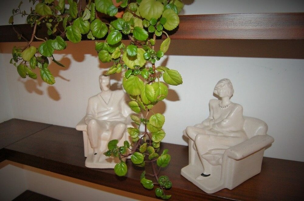 Фото Casa a 15 minutos de la playa, con jardin privado y piscina