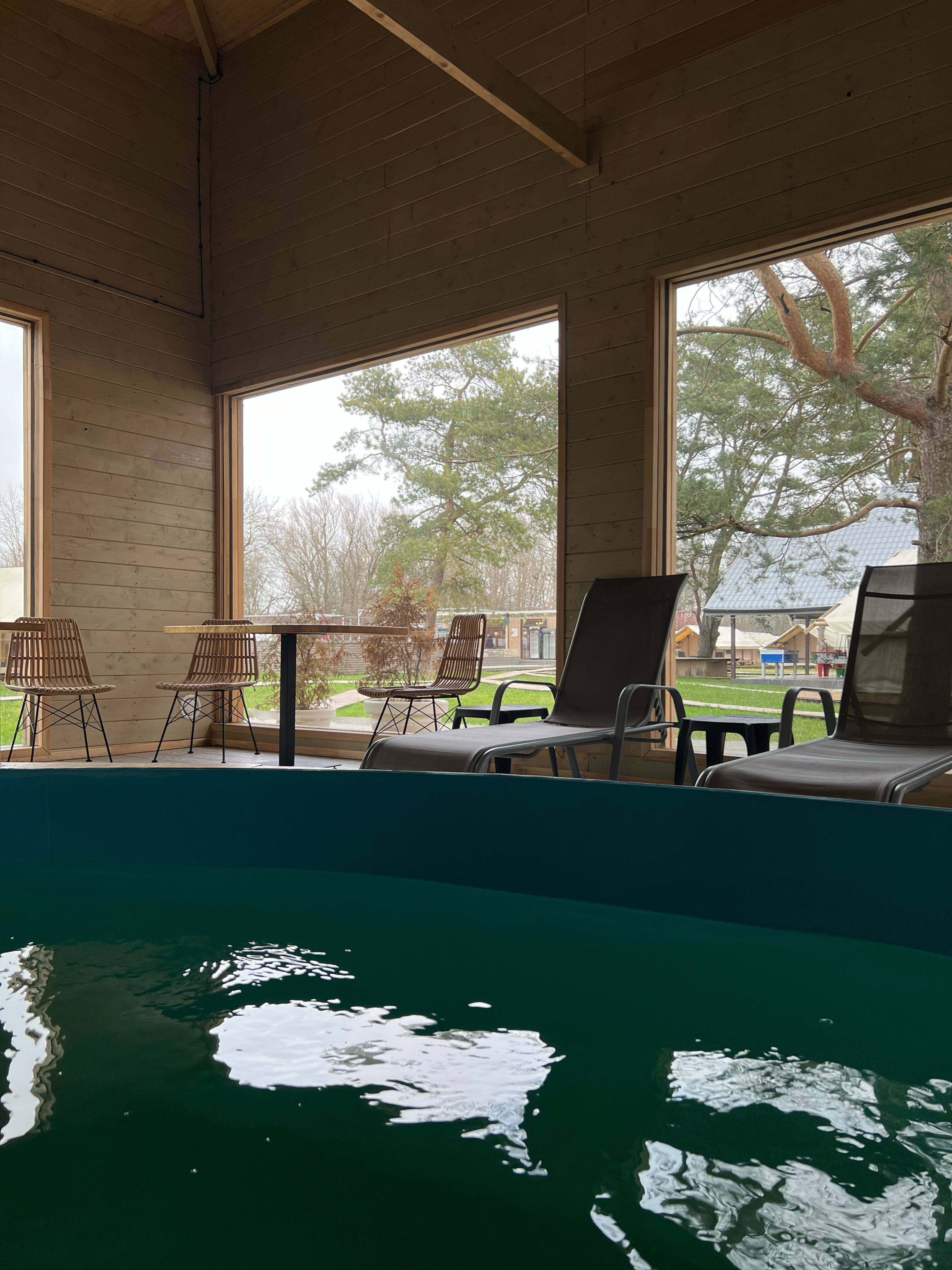 Фото Малина