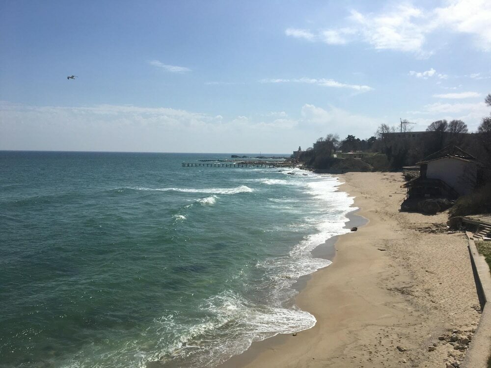 Фото Hair of the Dog Hostel