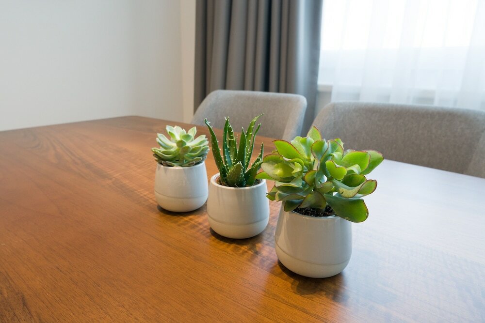 Фото MyApartments Vienna