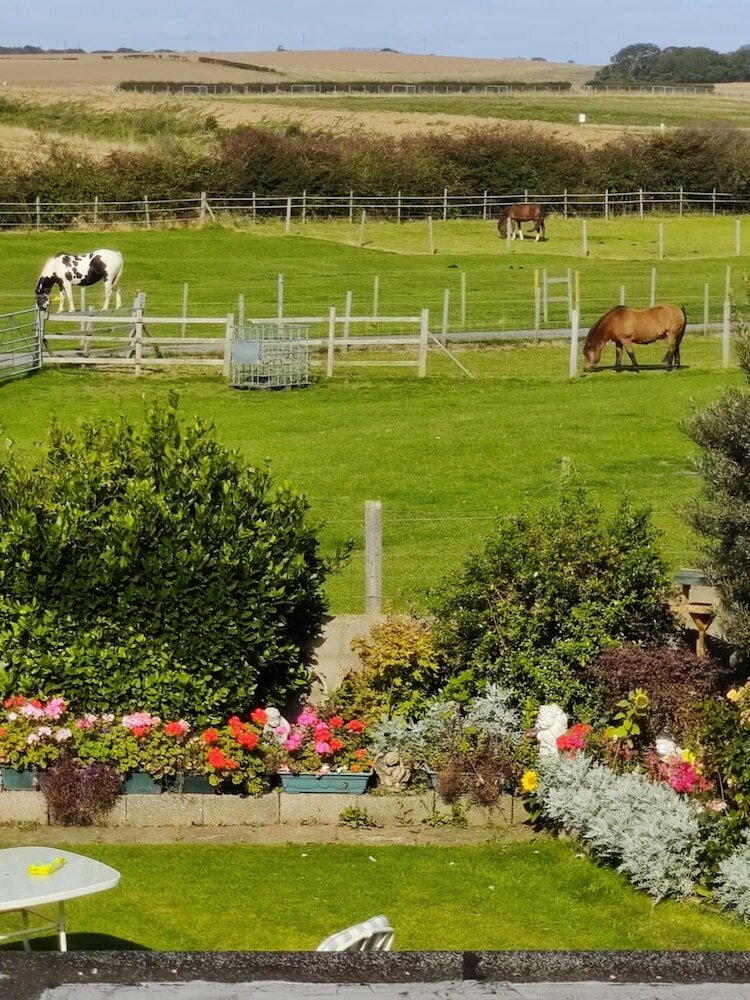 Фото Cameron Court B&b