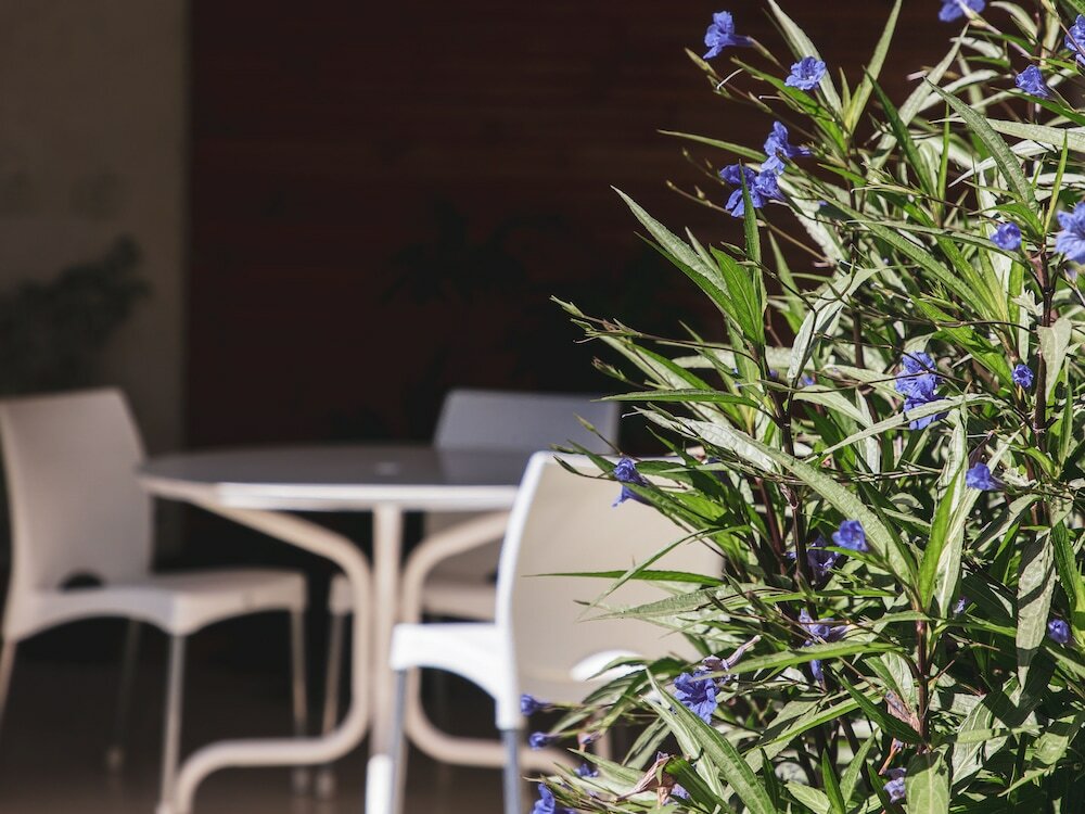 Фото Paradise Departamentos