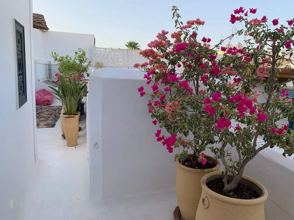 Фото Berber Duchess Riad