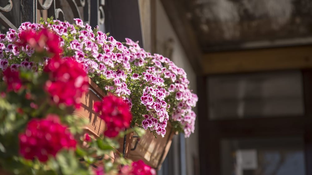 Фото Casa Del Mar Hotel