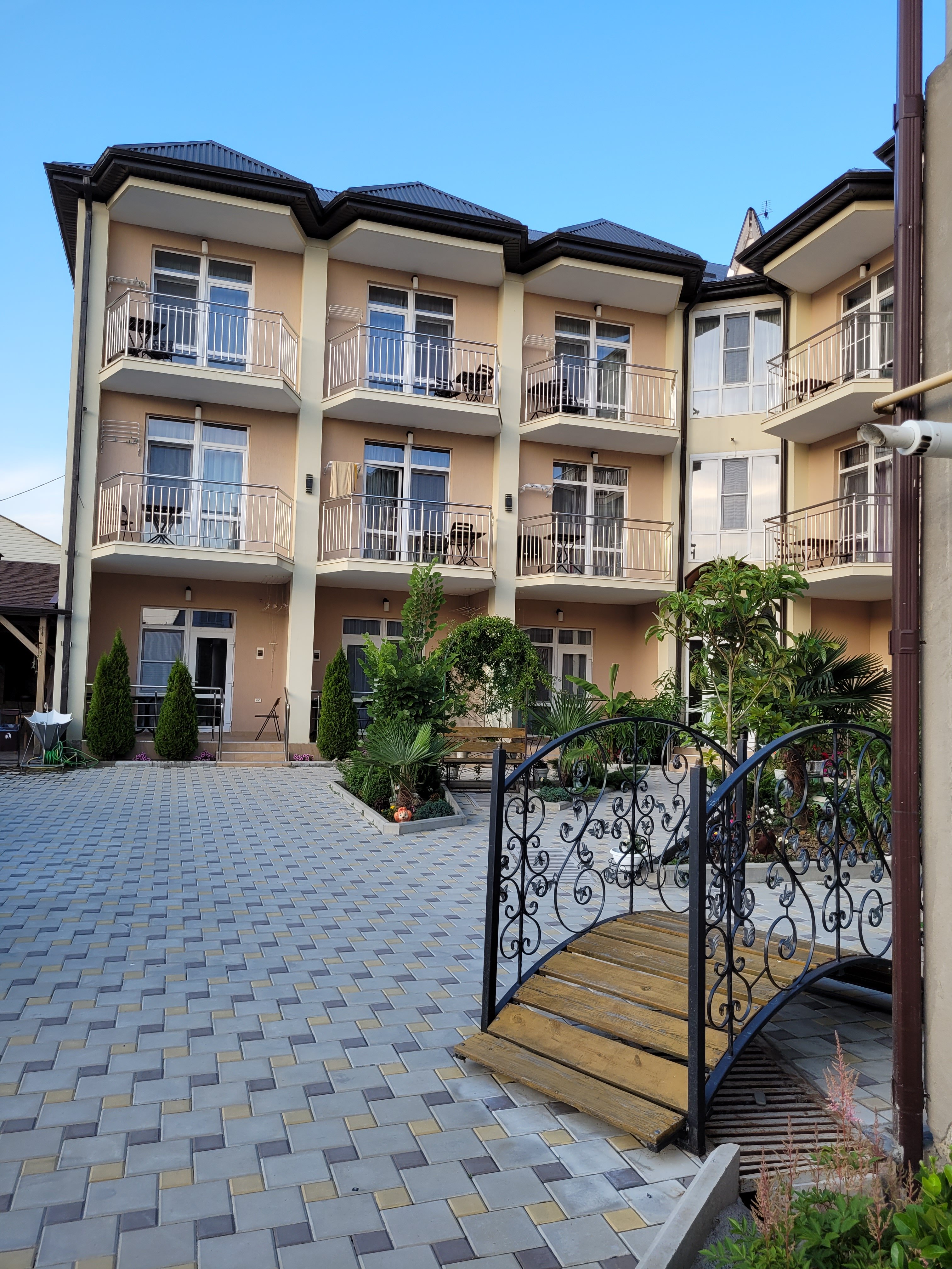 Фото Колибри