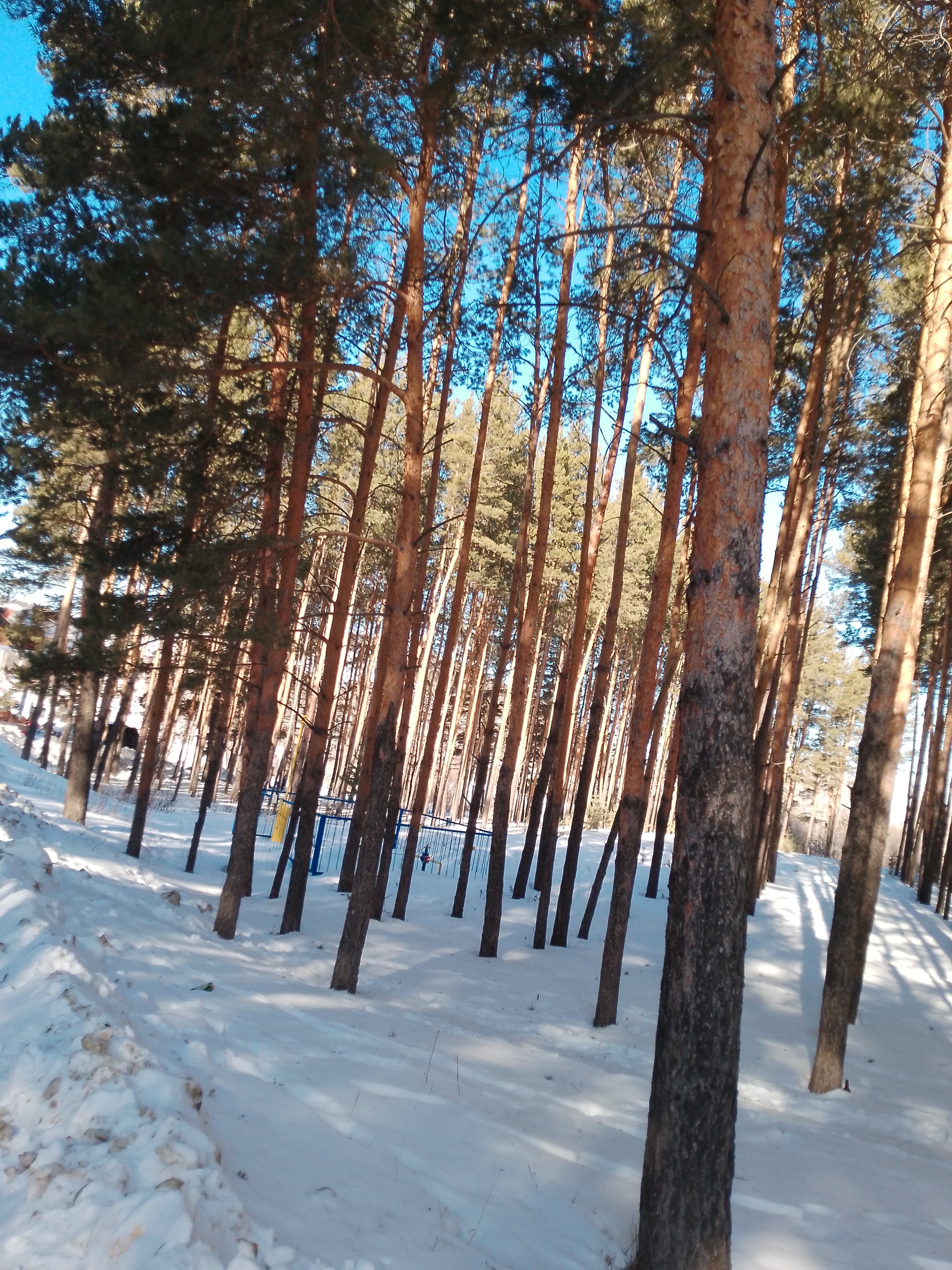 Фото Кизиловая