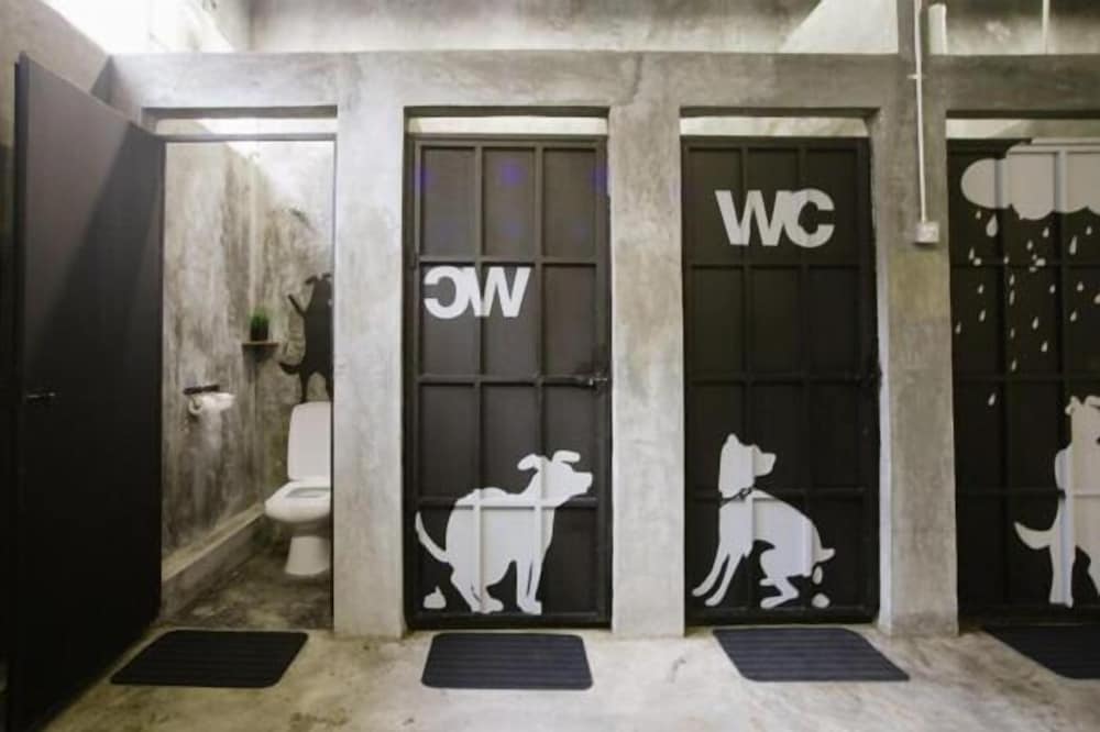 Фото Paper Plane Hostel