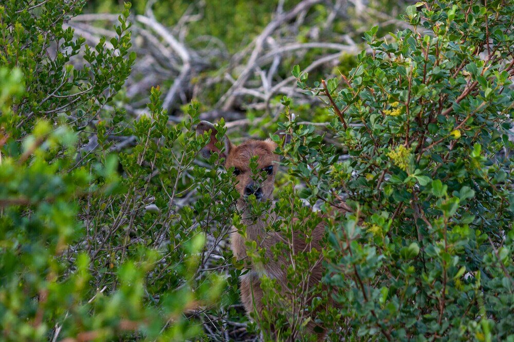 Фото Simbavati Fynbos on Sea