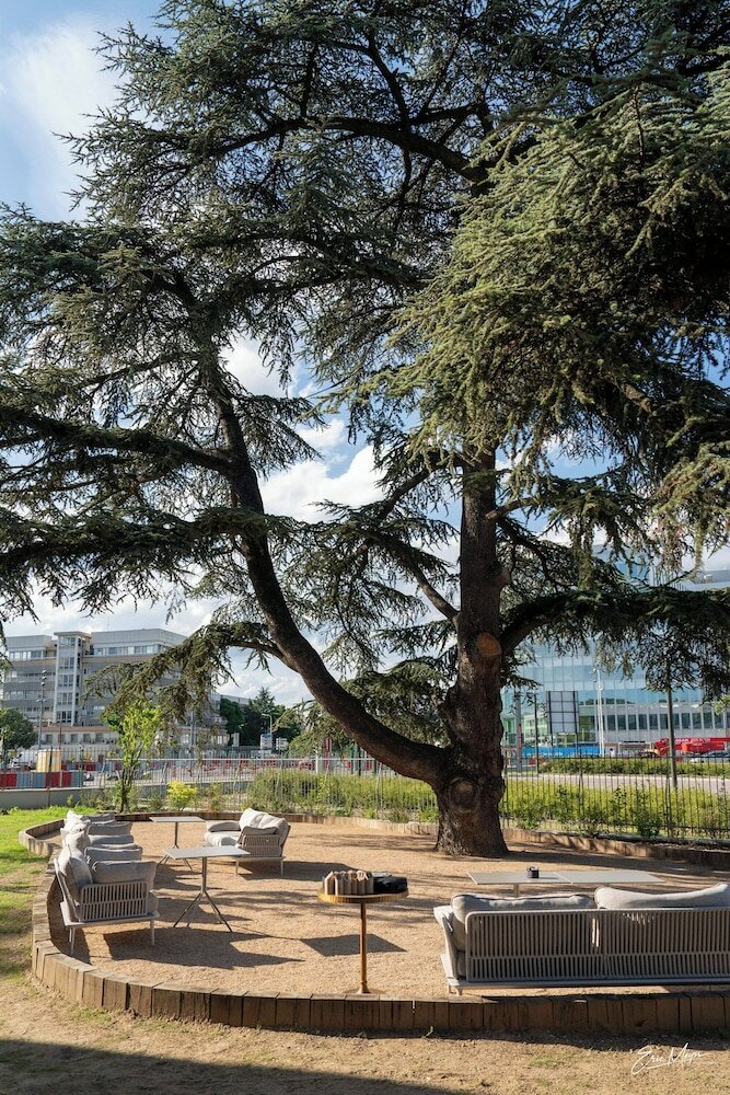 Фото 212316336475