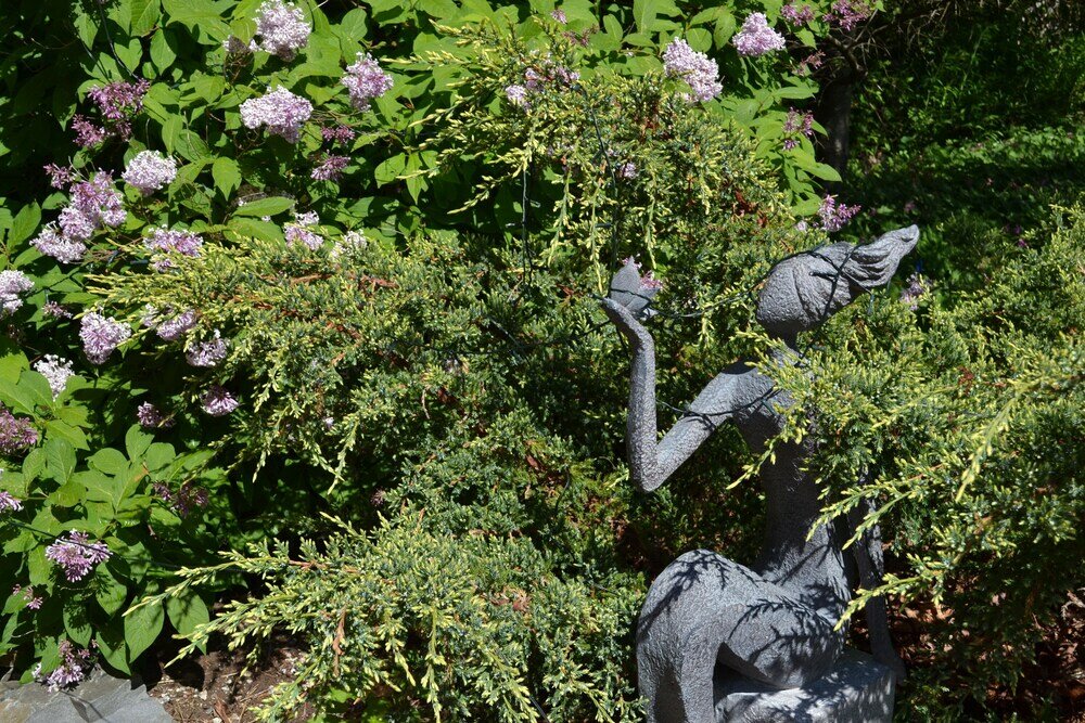 Фото Red Mahone Bed & Breakfast