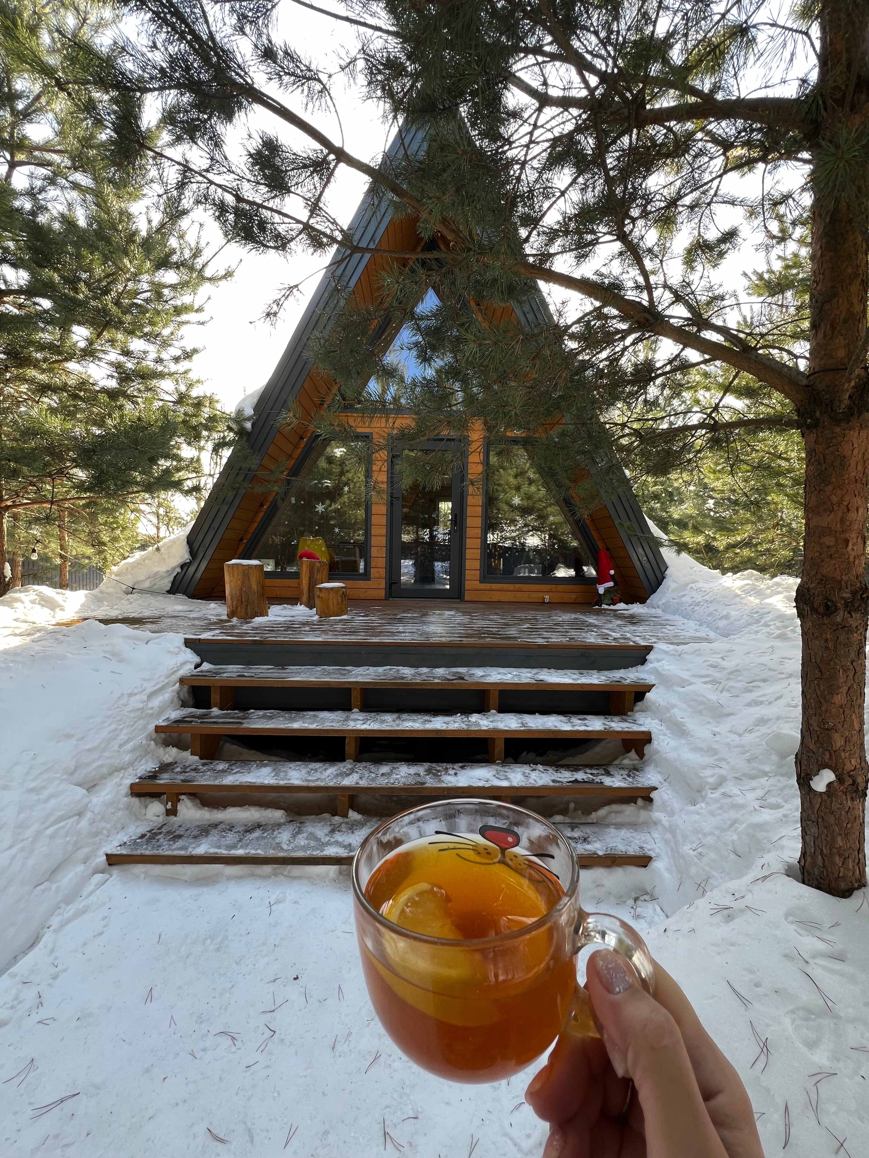 Фото Кусочек рая в соснах