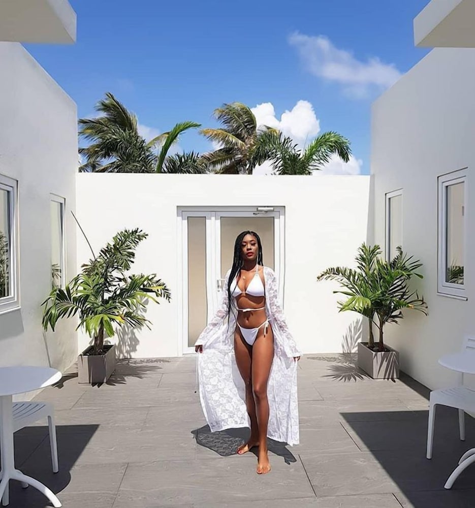 Фото The Palm Leaf Apartments