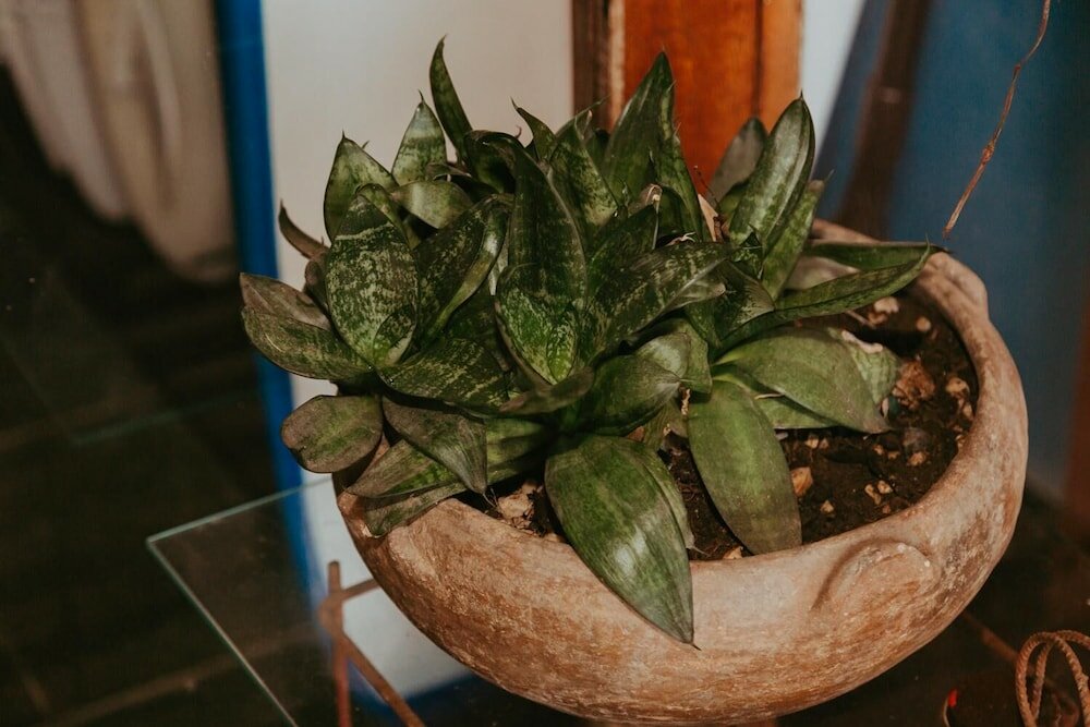 Фото Drifter Hostel