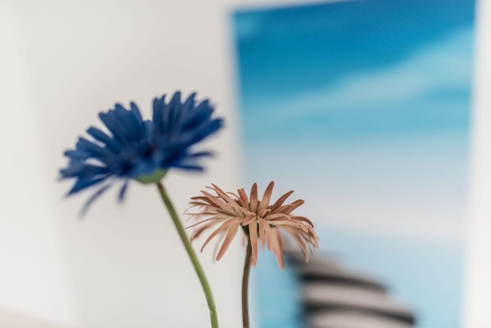 Фото Gennadi Summer Villas