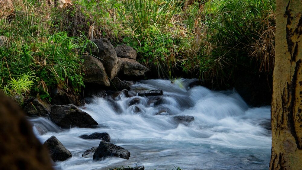 Фото Kilaguni Serena Safari Lodge